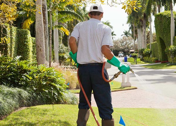 About Cambria IL Pest Control Pros